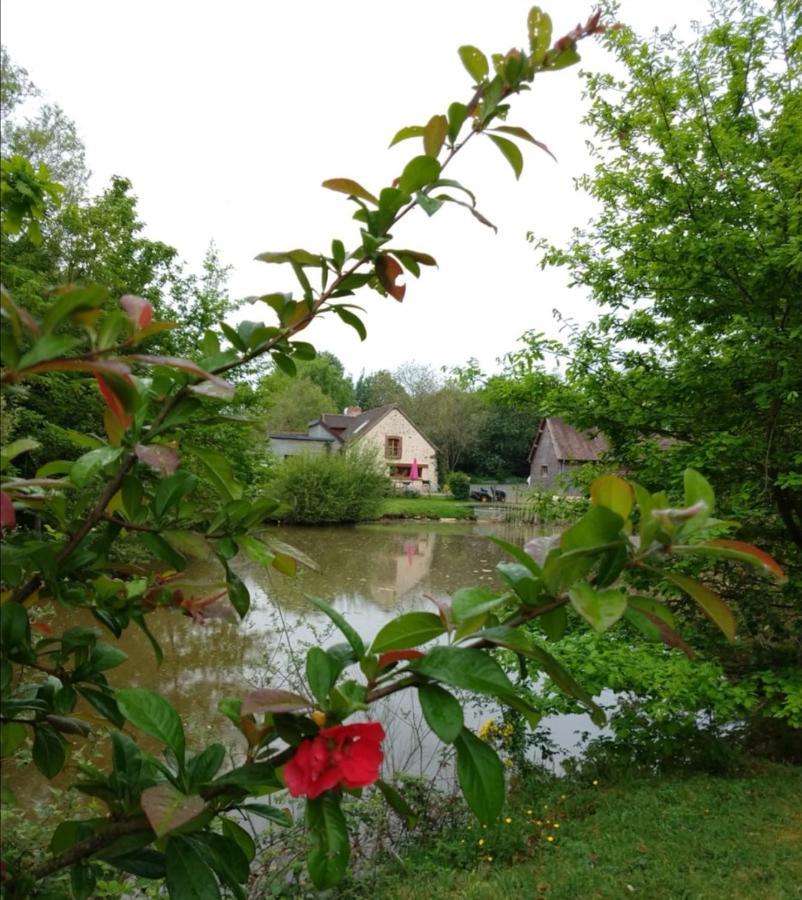 24H Le Mans - Les Haies Gite, Near Le Mans Circuit Vila Coulans-sur-Gée Exterior foto